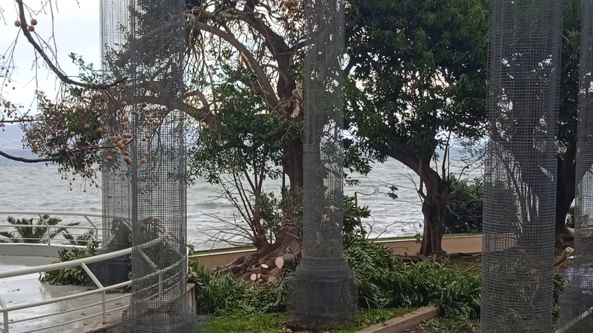 ciclone oriana raffiche vento maltempo colonne opera ()