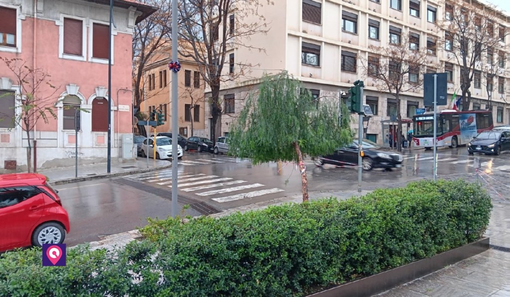 crollo albero piazza de nava reggio calabria ()