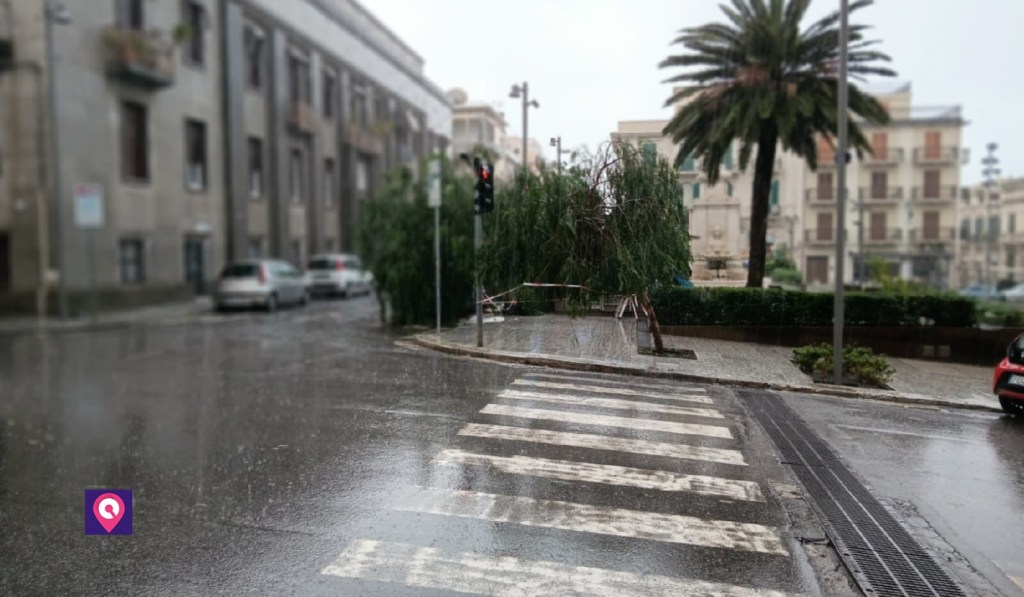 crollo albero piazza de nava reggio calabria