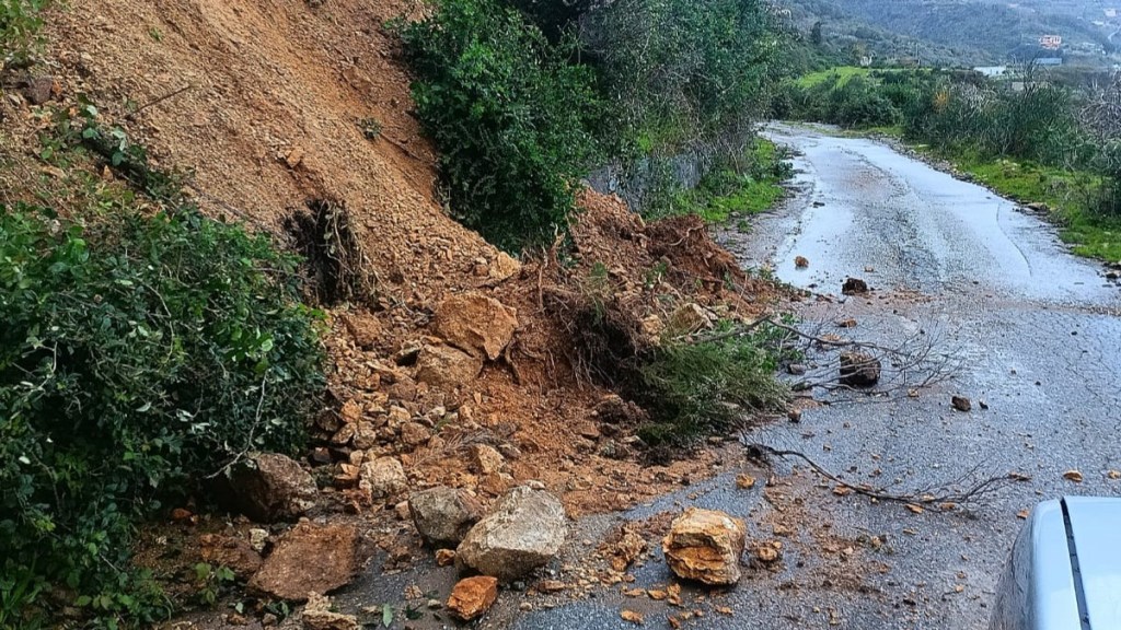 frane costa viola ()