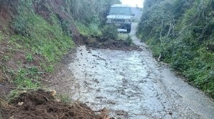 frane costa viola ()