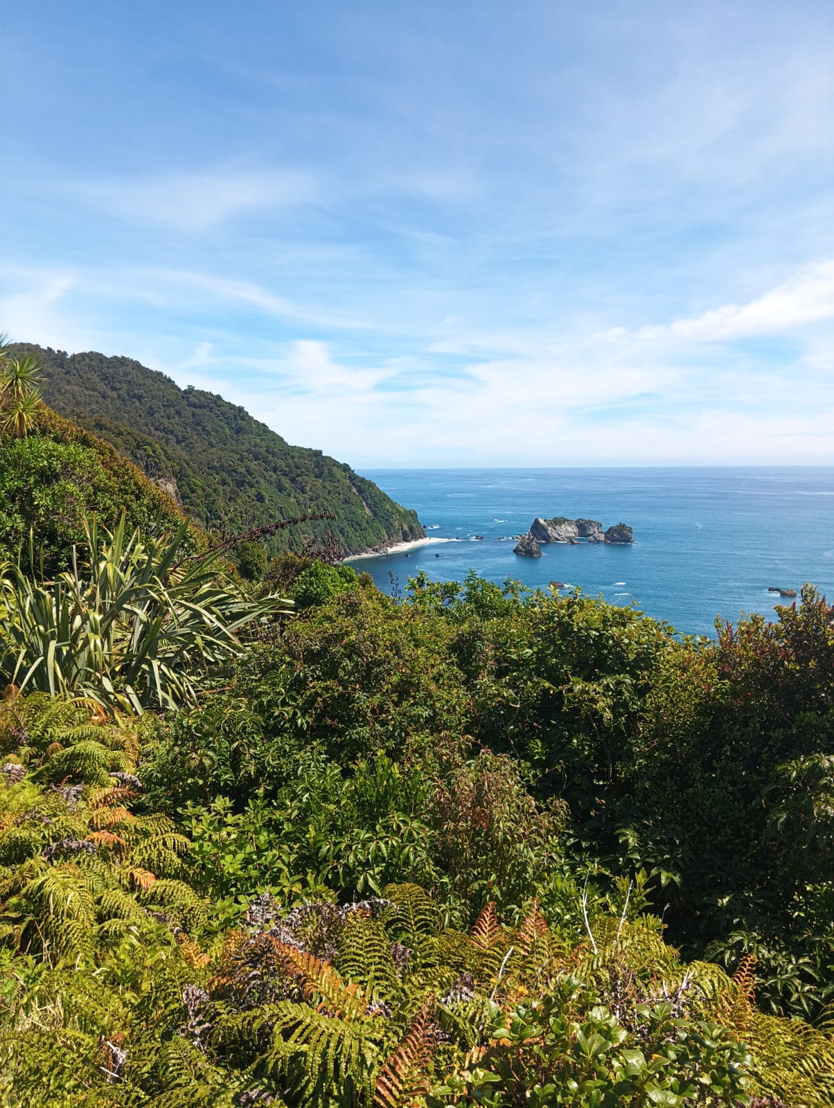 nuova zelanda marco garganese bici ()