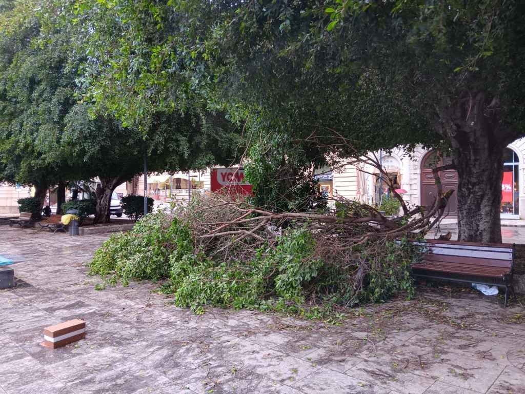 Reggio, grosso ramo si stacca da un albero e crolla su una panchina – FOTO