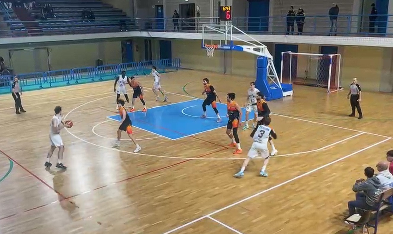 redelviolamolabasket