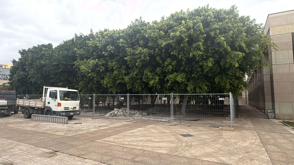 riqualificazione verde