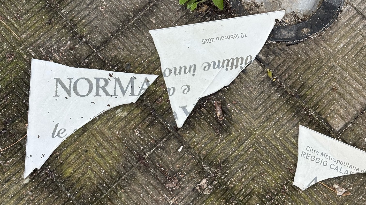 targa Norma Cossetto ()