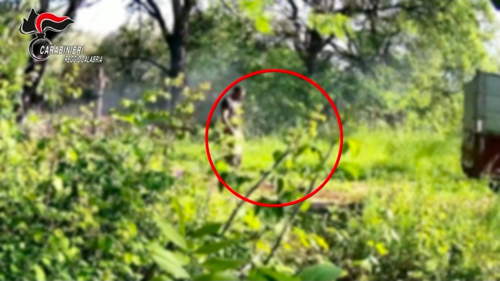 Un burrone trasformato in discarica abusiva con rifiuti anche pericolosi: 15 denunce – VIDEO
