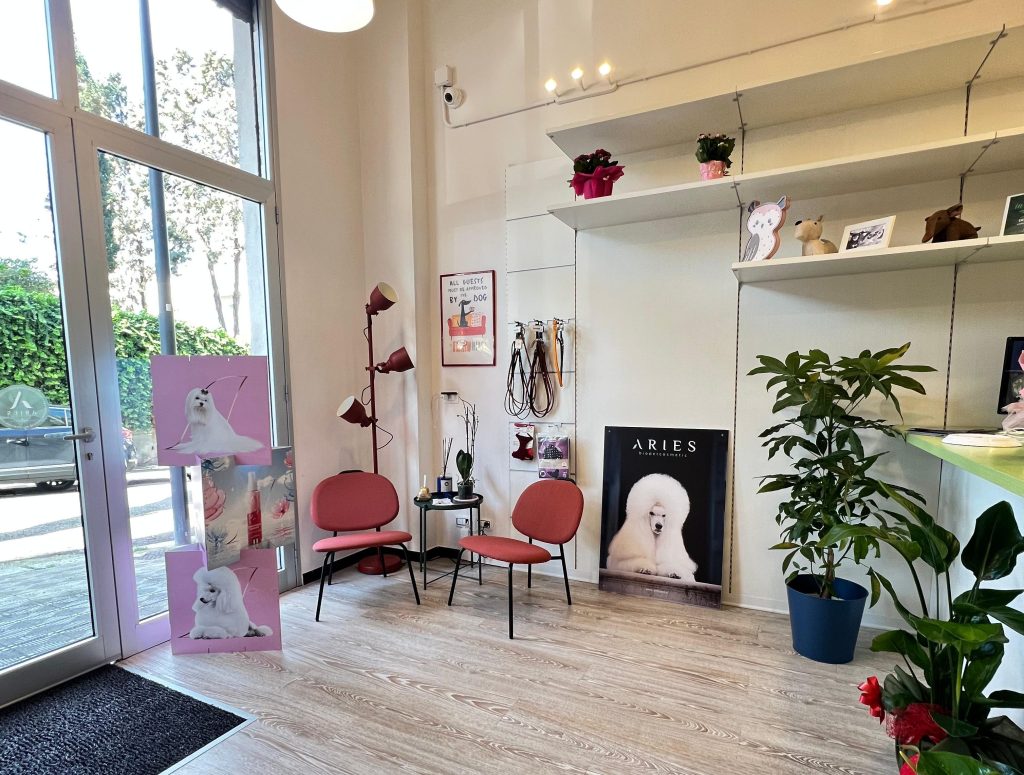 Pet it Reggio Calabria ()