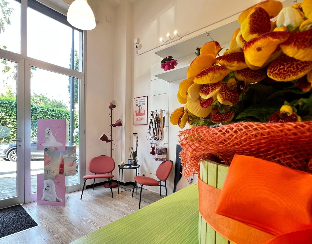 Pet it Reggio Calabria ()