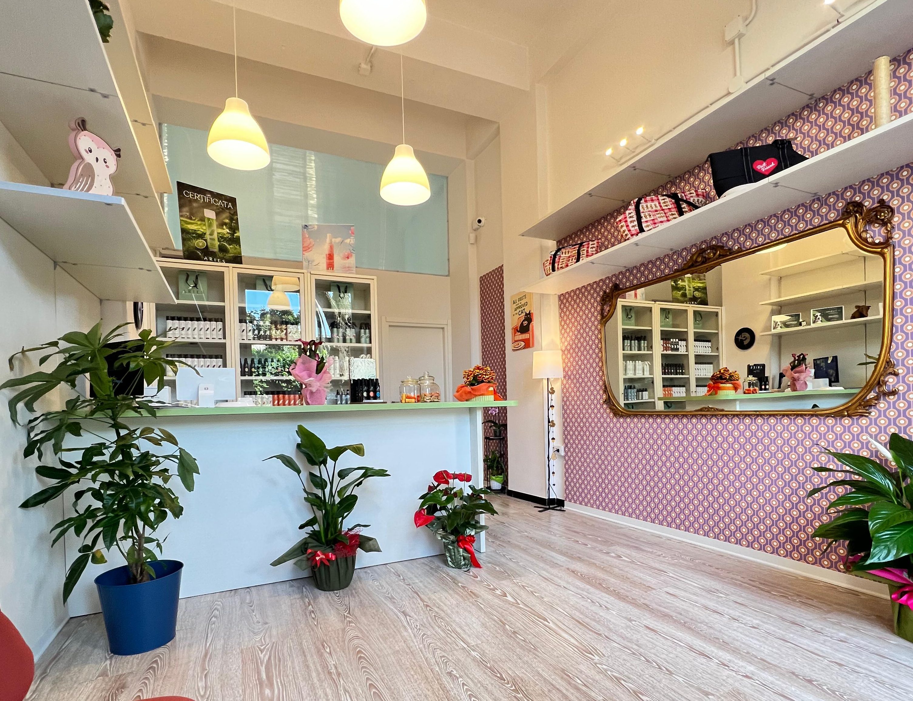 Pet it Reggio Calabria ()