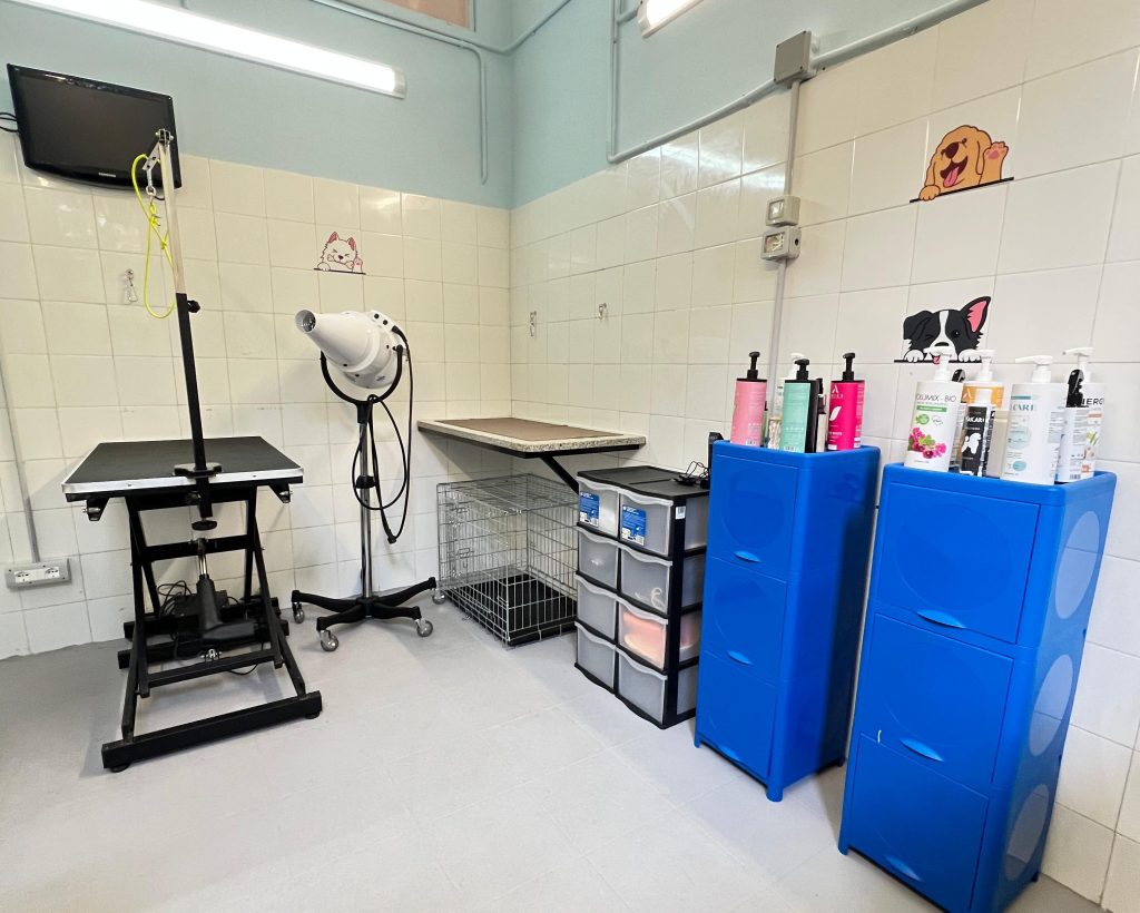 Pet it Reggio Calabria ()