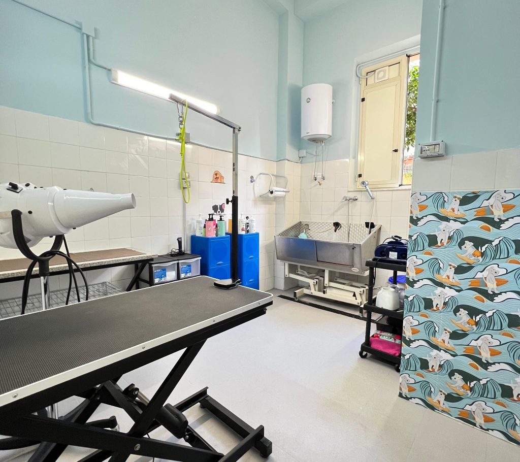 Pet it Reggio Calabria ()