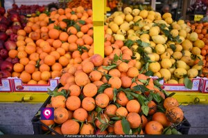 Prodotti Tipici Calabresi ()