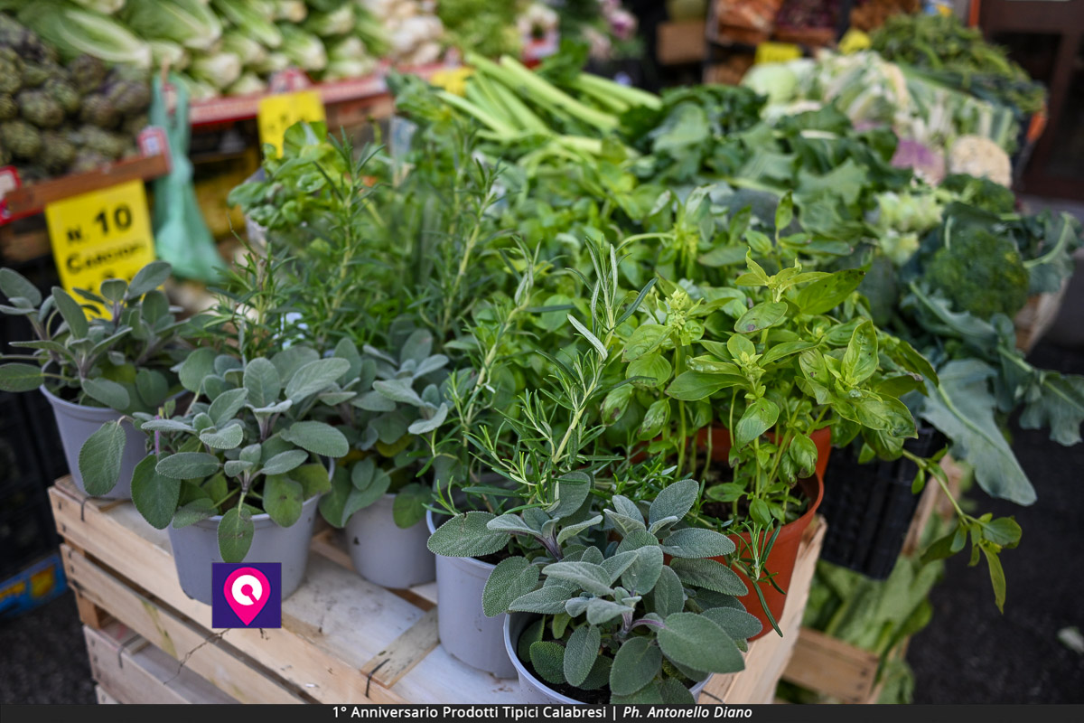 Prodotti Tipici Calabresi ()