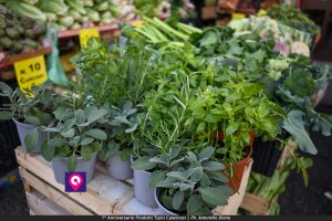 Prodotti Tipici Calabresi ()