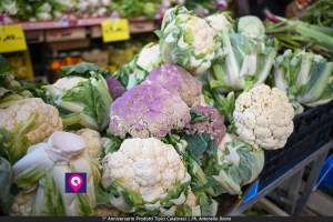 Prodotti Tipici Calabresi ()