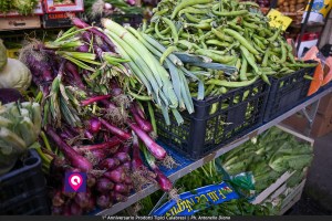 Prodotti Tipici Calabresi ()