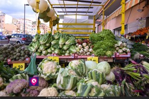 Prodotti Tipici Calabresi ()