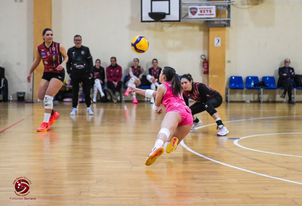 Volley Puliservice