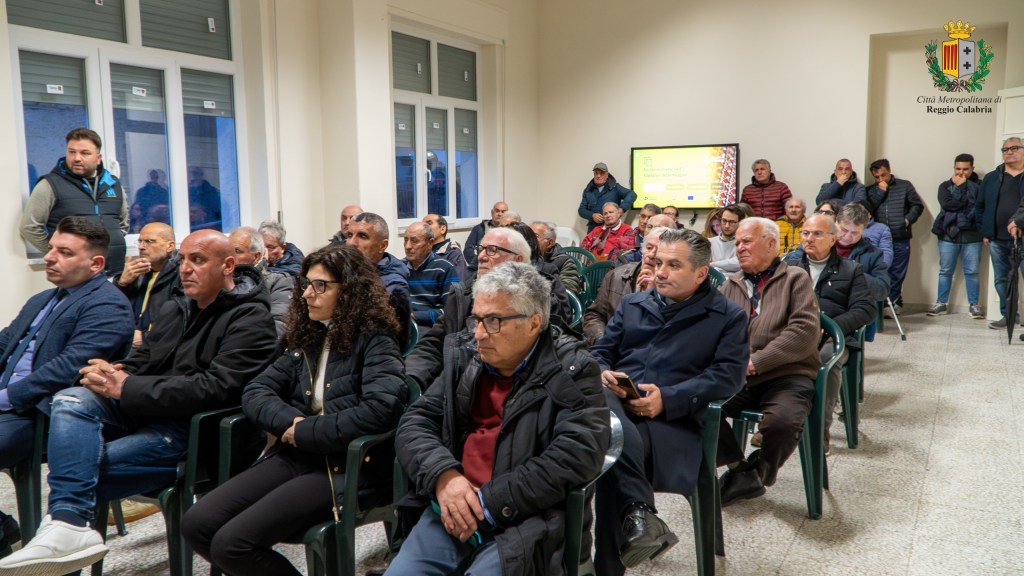 assemblea bivongi