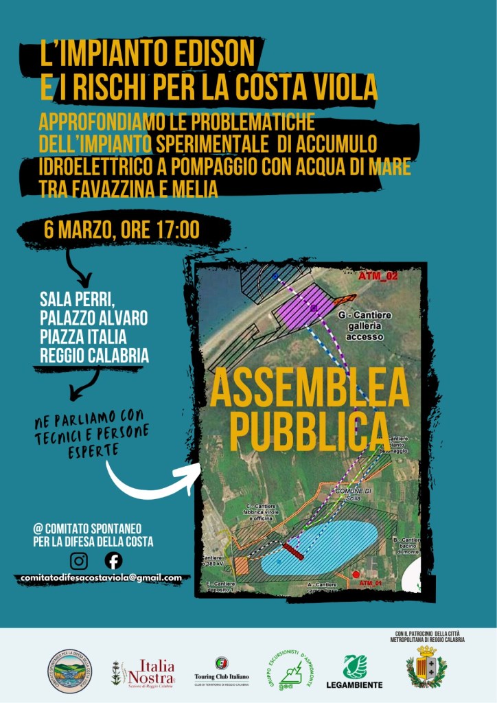 assemblea pubblica difesa costa viola