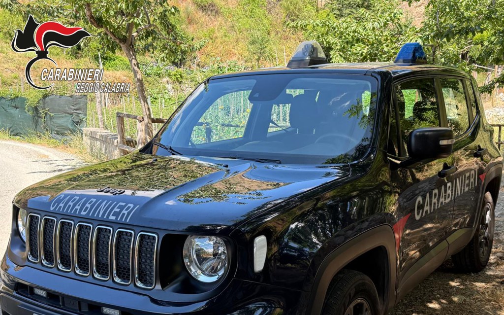 carabinieri