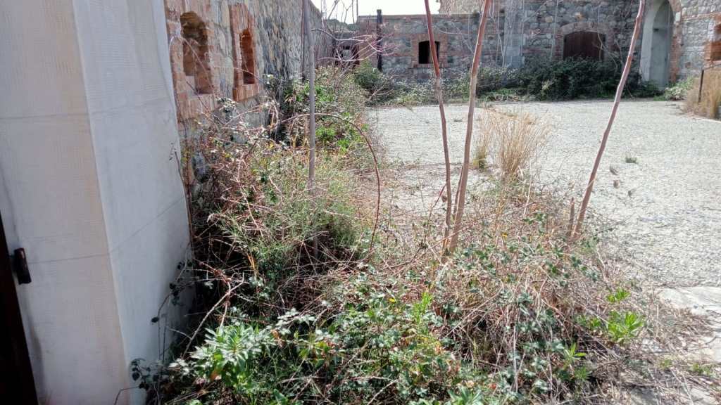 degrado collina pentimele ()