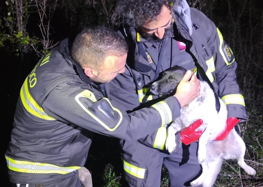 vigili fuoco cane camini monasterace