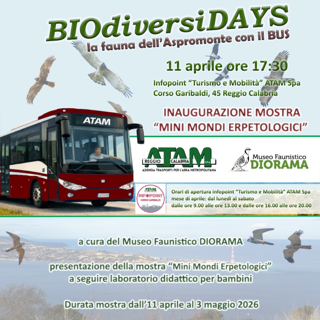 Evento aprile Infopointin ATAM Museo Faunistico Diorama locandina formato Post Instagram jpg