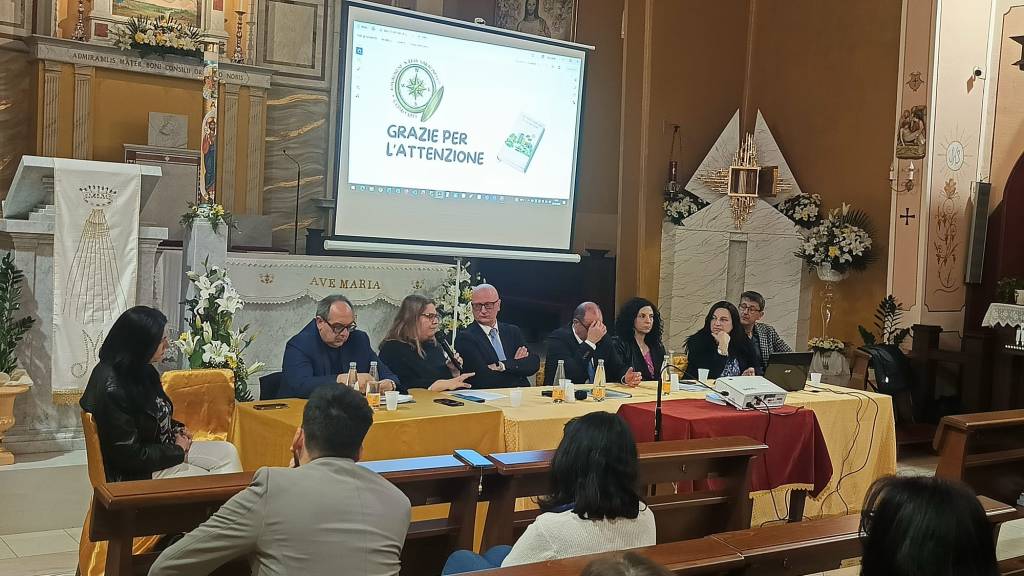 Masterplan Comitato quartiere Ravagnese ()