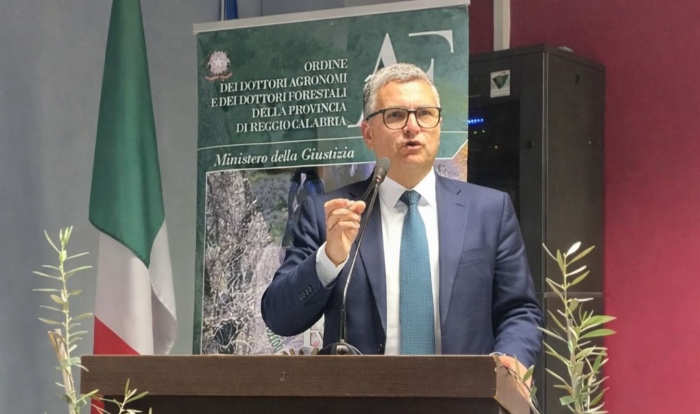 Presidente ODAF RC Michele Rocco Valenzise