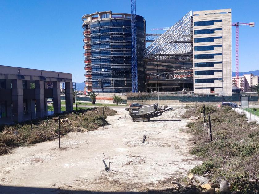 Reggio, la denuncia di Europa Verde/AVS: ‘Alberi bellissimi e sani abbattuti in città’