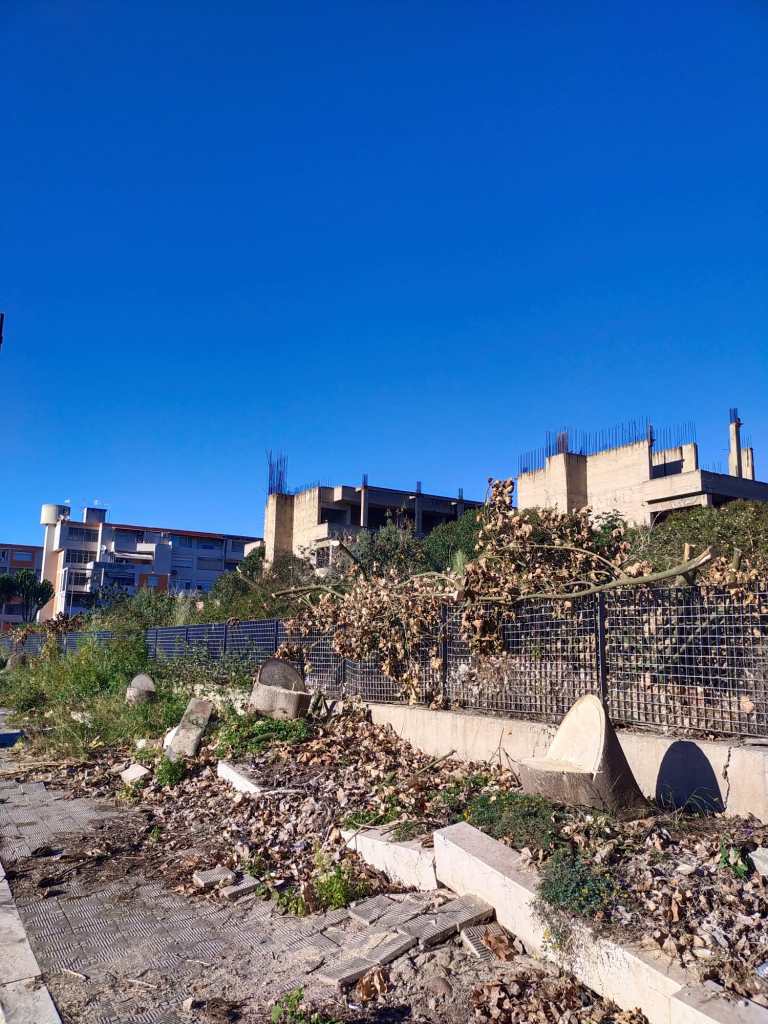 alberi tagliati MORELLI