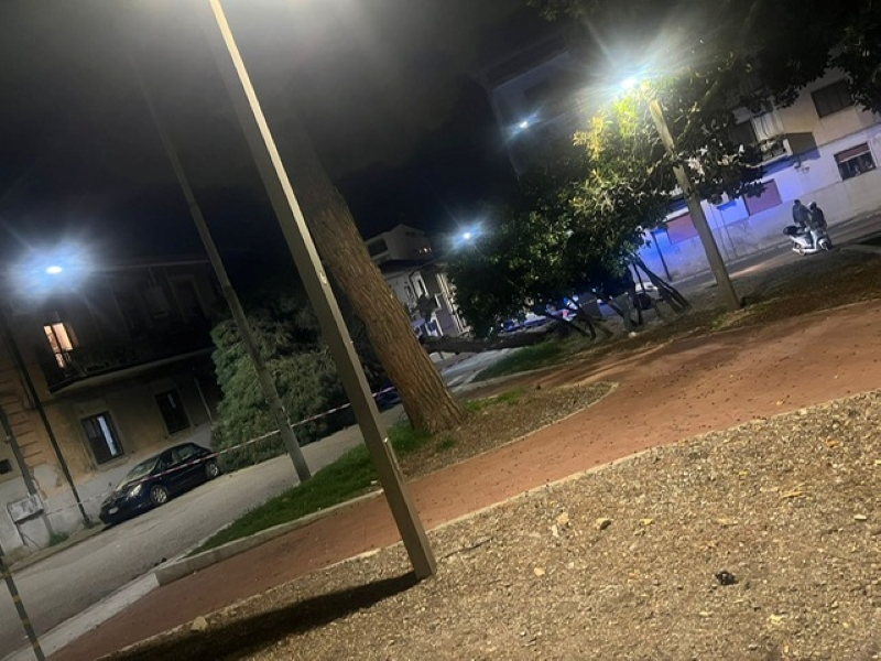 albero caduto santa caterina