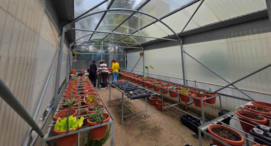 centro diurno psichiatrico armonia ()