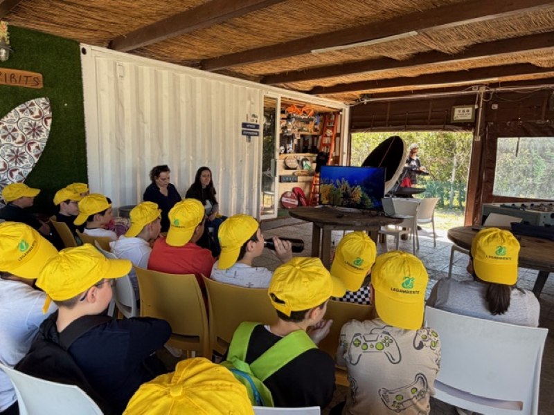 cleanup punta pellaro ()