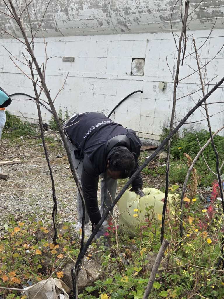 cooperativa libero nocera clean up rc ()