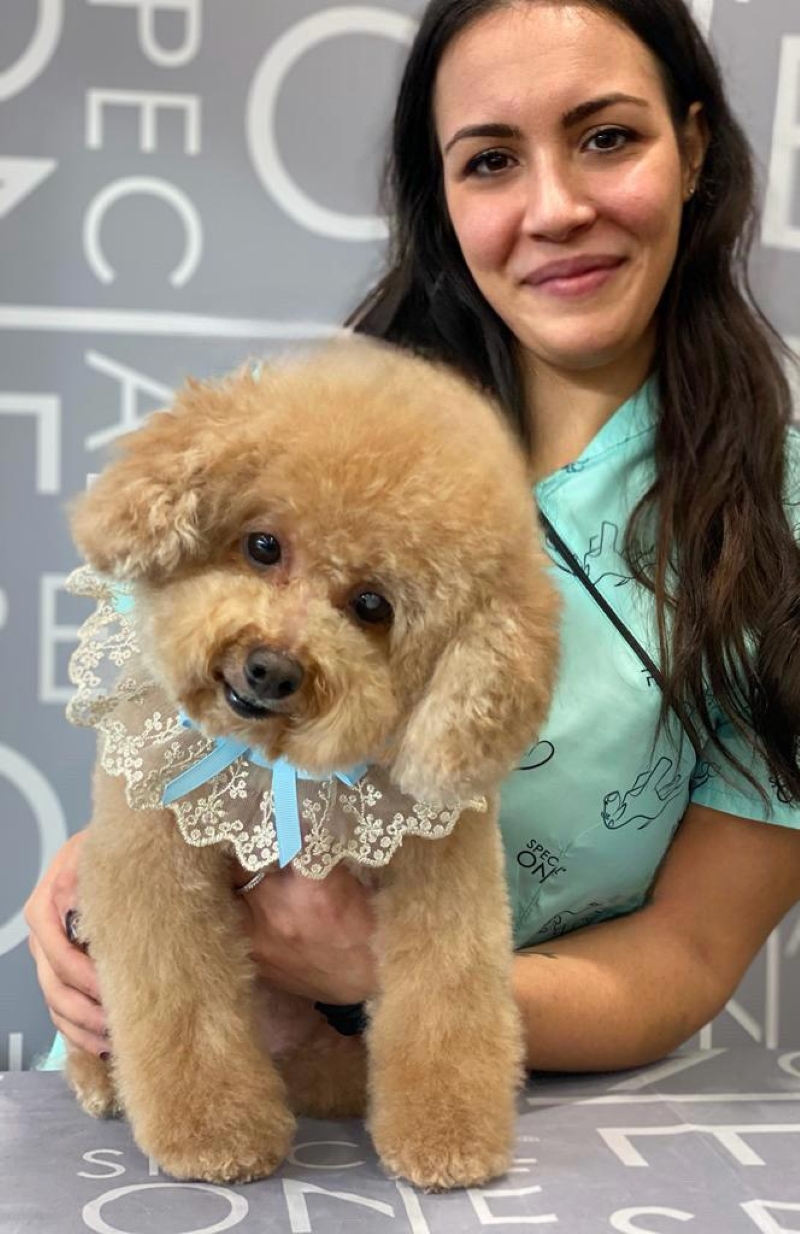 daniela ferro mondo cane