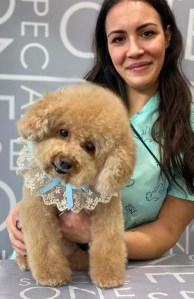 daniela ferro mondo cane