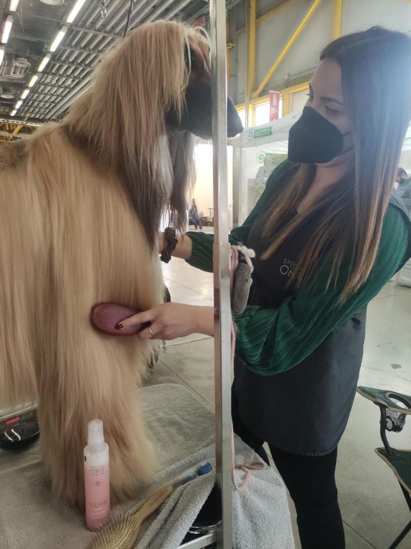 daniela ferro mondo cane