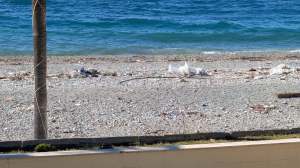 degrado spiaggia via marina