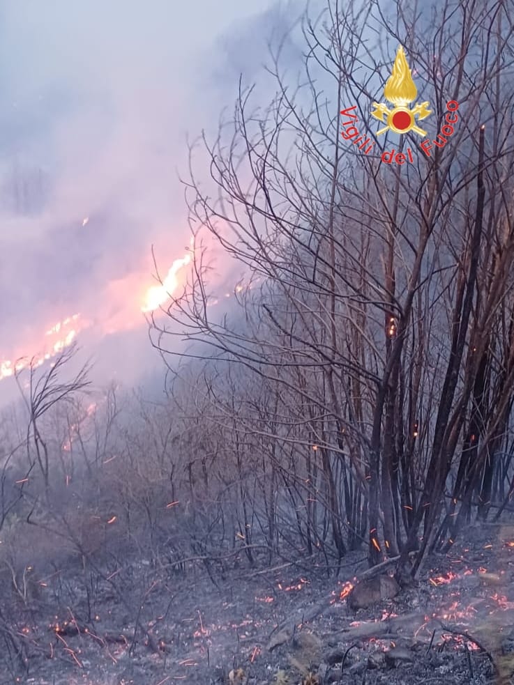 incendio calabria ()