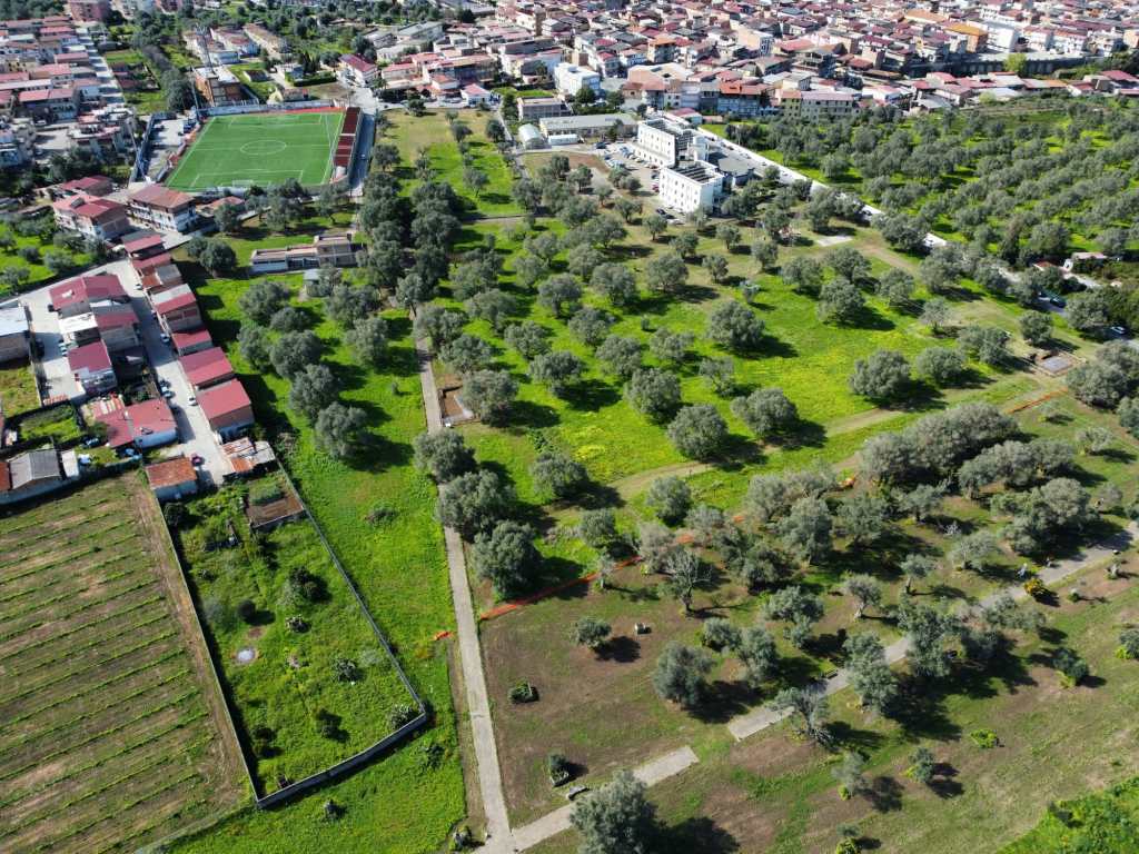 medma rosarno