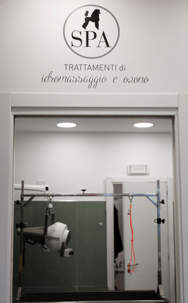 mondo cane idromassaggio ozonoterapia