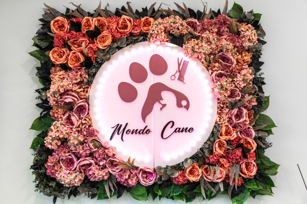 mondo cane toelettatura rc ()