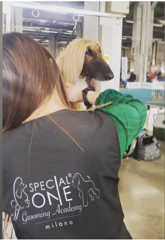 mondo cane toelettatura rc ()