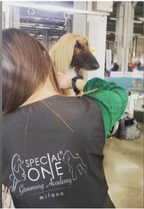 mondo cane toelettatura rc ()