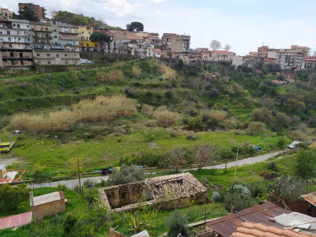 mosorrofa