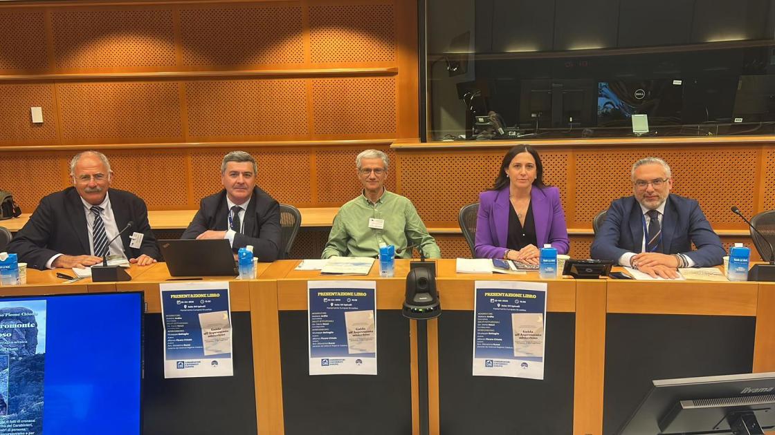 Aspromonte, Denis Nesci (Fdi): “Valorizzare un patrimonio straordinario”