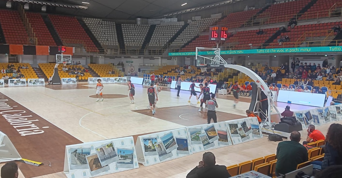 redelviolabimbambasketrende